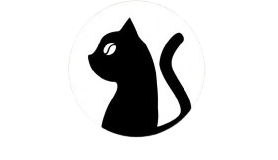 Calli the cat